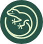 Secret Son The Lake - Logo