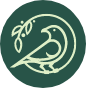 Two Frogs