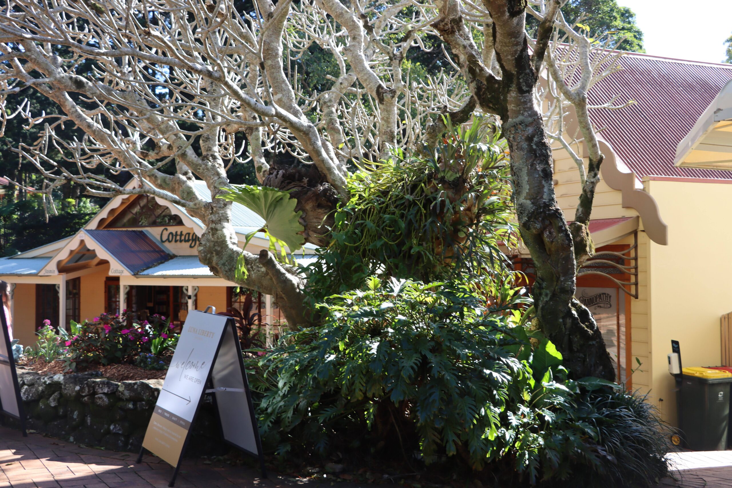 Montville 3